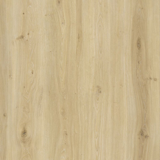 BML Pale Oak SPC Click Flooring - homes-and-floors