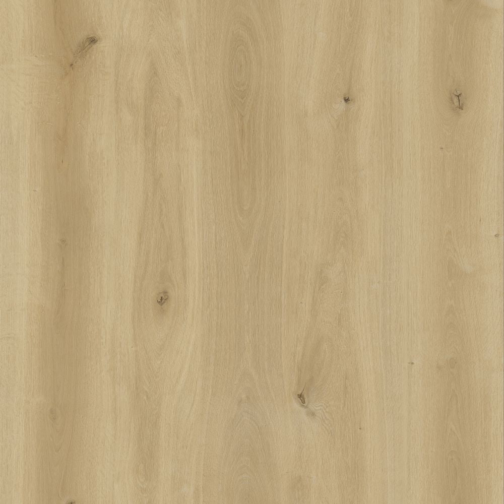 BML Light Oak SPC Click Flooring - homes-and-floors