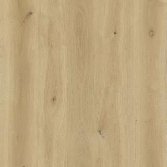 BML Light Oak SPC Click Flooring - homes-and-floors