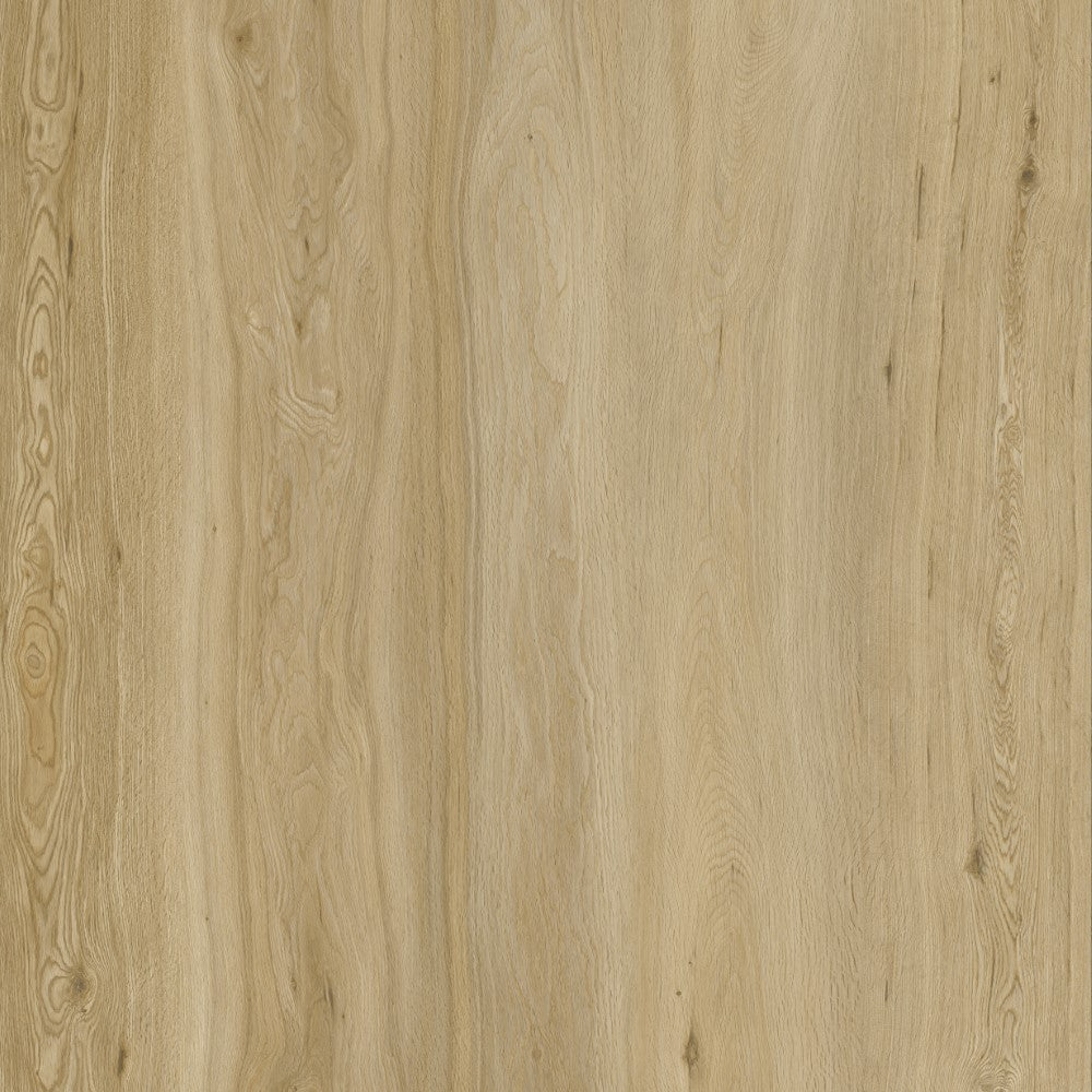 BML White Oak SPC Wide Flooring