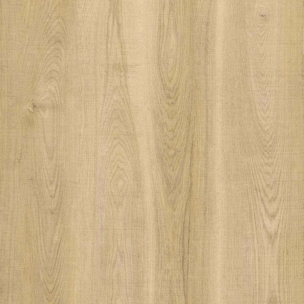BML Poplar SPC Wide Flooring