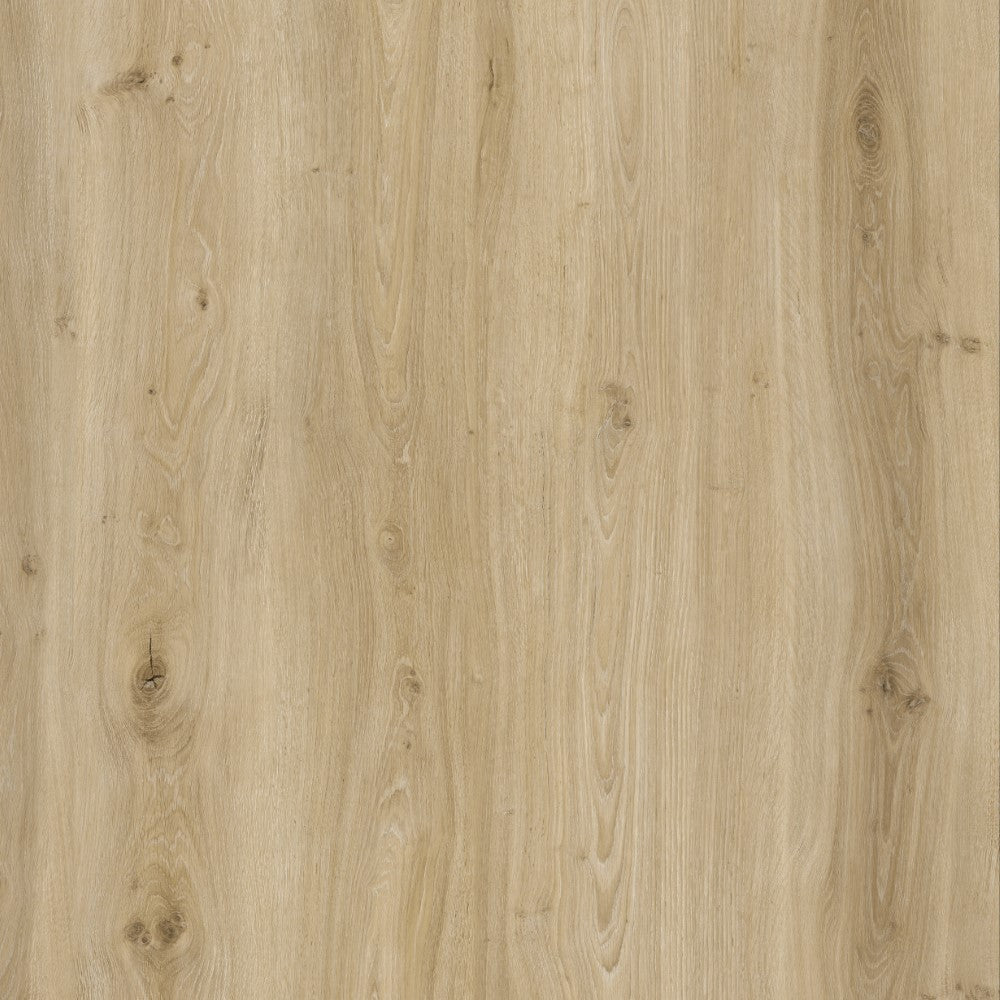 BML European Oak SPC Wide Flooring