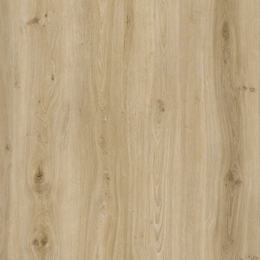 BML European Oak SPC Wide Flooring