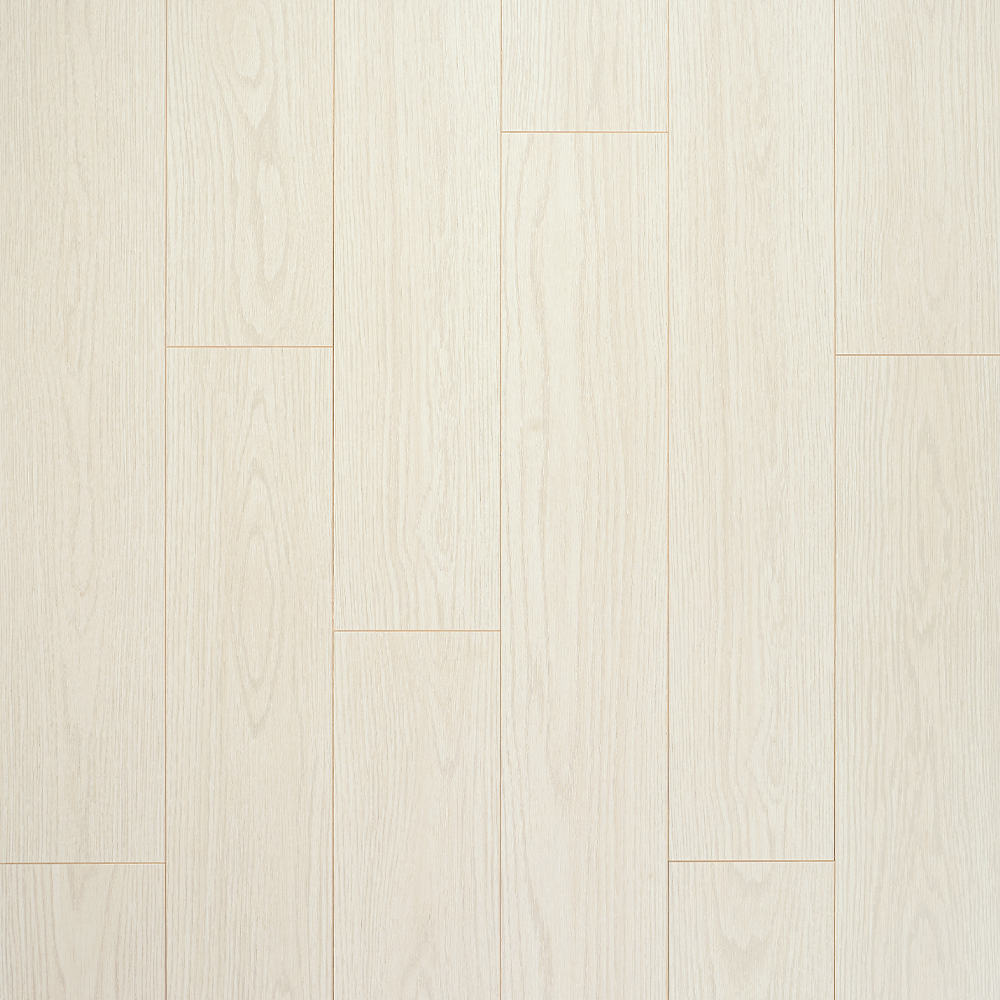 Swiss Krono 8mm Urban Oak White Laminate Floor